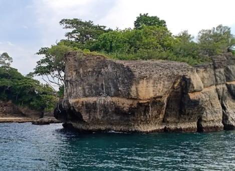 Tangkoko Batuangus Reserve, Kawasan Konservasi Fauna Endemik di Bitung