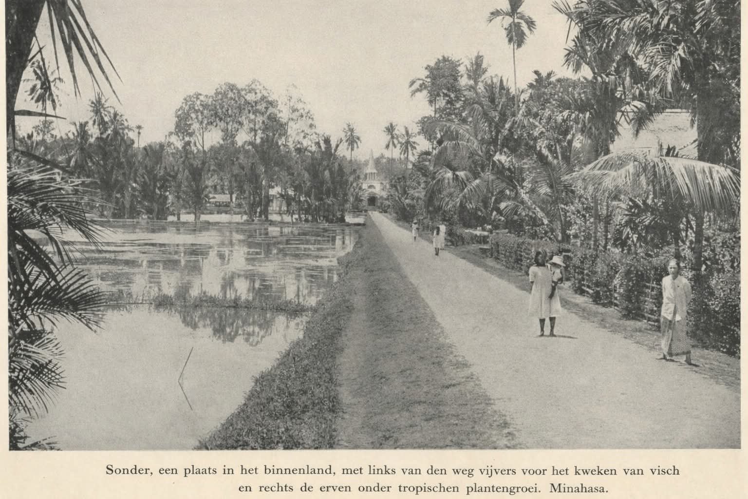 Suasana desa Sonder di wilayah Minahasa pada masa kolonial Belanda (Foto majalah Tropisch Nederland 1938⁣)
