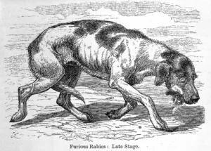 Kasus Rabies di Manado dalam Catatan Medis Tahun 1926