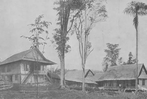 Orang Sakit Diasapi: Pengobatan Tradisional dan Kepercayaan di Minahasa