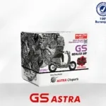 Aki GS GTZ6V Cocok untuk Motor Apa? Cek Daftar Motornya