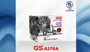 Aki GS GTZ6V Cocok untuk Motor Apa? Cek Daftar Motornya